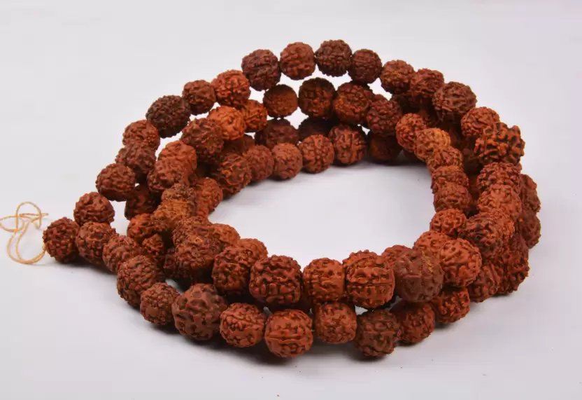 Seven Mukhi Rudraksha